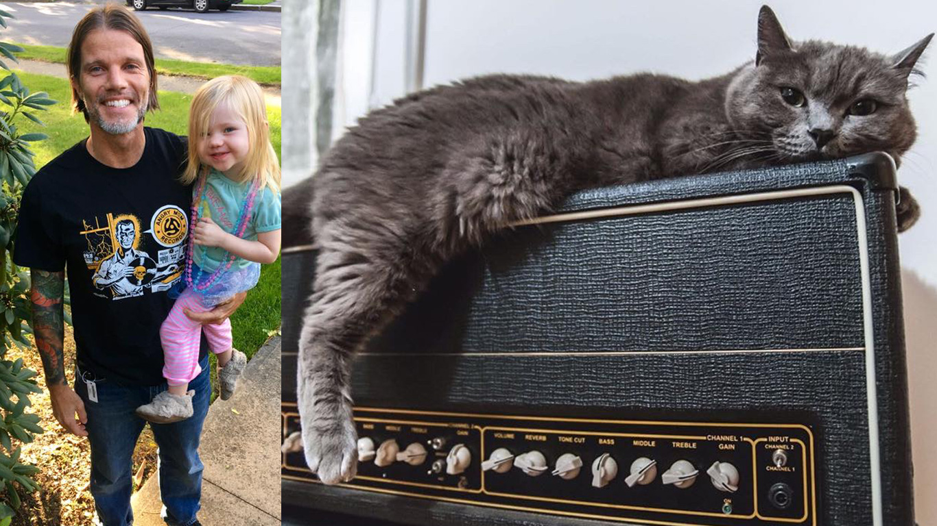 cats-on-amps